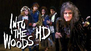 Into The Woods  HD Fan Remaster Chapters Subtitles English Spanish Italian