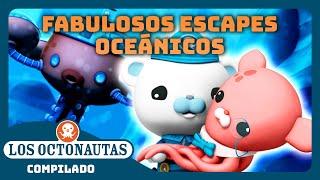 Los Octonautas -  Fabulosos escapes oceánicos   Episodios Completos  Compilado