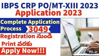 IBPS PO Apply Online 2023 Telugu  Application Form Fill UpHow to ApplyIBPS PO Recruitment 2023