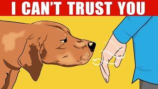 How Dogs Can Recognize a Bad Person And Other Dog Incredible Abilities Explained