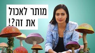 כאן  איך יודעים איזה פטריות מותר לאכול? - המדריך לליקוט פטריות