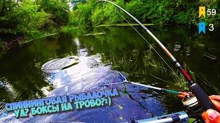 Русская рыбалка 4Спиннинг? Ноги? Боксы на трово? Рулетка#fishing