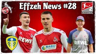 1. FC Köln Swansea Test & vergebene Startelfplätze  Leeds United will Ljubicic Effzeh News #28