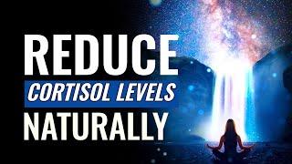 Reduce Cortisol Levels Naturally  Stress Reduction Music Therapy  Brain Calming Sound Vibrations