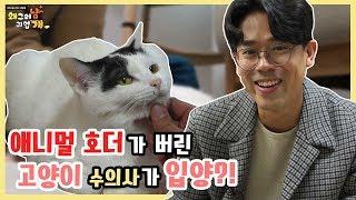 애니멀호더에게 버려진 고양이들의 입양스토리