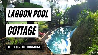 Cabin Suite Cottage Lagoon Pool The Forest Cisarua Puncak Bogor