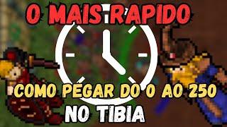 O JEITO MAIS RAPIDO DE PEGAR LEVEL 250 NO TIBIA