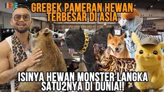 GAK MASUK AKAL GREBEK PAMERAN HEWAN TERBESAR SE-ASIA ISINYA HEWAN MONSTER LANGKA SATU2NYA DI DUNIA