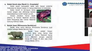 27 APRIL 2020 BIMBEL PRIMAGAMA ONLINE IPA KELAS 4 LIVE VIA ZOOM