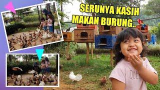 MEMBERI MAKAN BURUNG MERPATI DI JENDELA ALAM  Seru-seruan Bareng Raline dan Kinan #animalfeeding