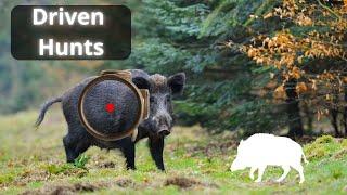 Driven Hunts The Ultimate Adrenaline Rush for Hunters - Wild boar hunting