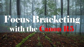 Focus Bracketing with the Canon R5