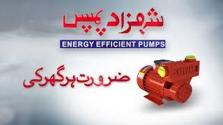 Shahzad SP Series Water Pump - High-Pressure Water Supply Solution