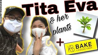 #kenjiINTRODUCES  TITA EVA & her plants  BAKE Cheese Tart