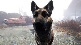 The Hilarious Way Fallout 4 Deals with Missing Dogmeat