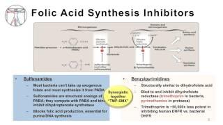 Intro to Bacteria & Antibiotics Abx Targeting Nucleic Acids Pt  2