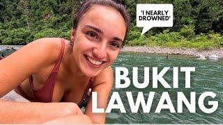 First Impressions of Bukit Lawang Sumatra - Indonesia Vlog 