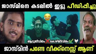 കോഴിയായി അഭിനയിച്ചു ഇപ്പോൾ ജീവിക്കുന്നുGabri Jasmine Old MovieTroll malayalam