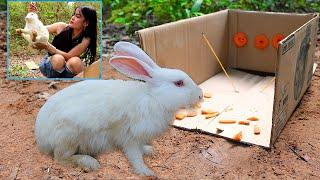 Creative Easy Underground Rabbit Trap Using Cardboard Work 100% Make By Smart Girl