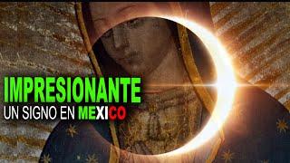 INAUDITO en MÉXICO NUESTRA MADRE DE GUADALUPE lo vuelve HACER POR SUS HIJITOS CONMOCIÓN MUNDIAL