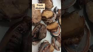 Fresh Abalone