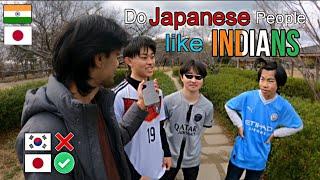 Do Japanese like Indians ?  Interview  Indian in Japan