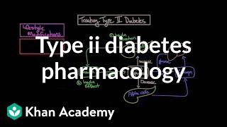 Treating type II diabetes - Pharmacology  Endocrine system diseases  NCLEX-RN  Khan Academy