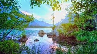 Nature sound relaxing Beauty Calming Music Peaceful Music Meditation Music