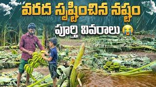 వరద సృష్టించిన నష్టం పూర్తి వివరాలు  #flood #farming losses #viralvideo #trending #trendingvideo