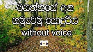 Wasanthaye Aga Karaoke without voice වසන්තයේ අග හමුවෙමු සොඳුරිය