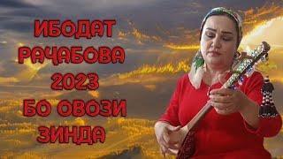 Ибодат Рачабова