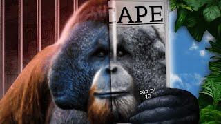 The Ape That Couldn’t Be Contained