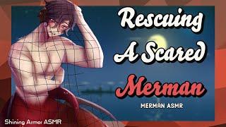 M4A Rescuing a Merman ASMR Roleplay Rescue Angst British Merman Speaker