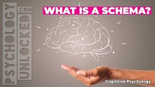  What is a schema?  Cognitive Developmental Psychology