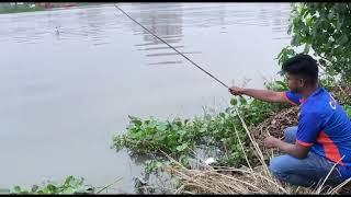 While hook fish catching video in village local river  Hook fish  Today video - 154