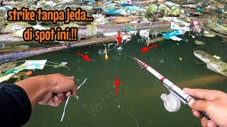 PEMANCING MANA YANG GAK NGILER LIAT VIDIO SEPERTI INI  mancing ikan red devil NAHOL MANIA