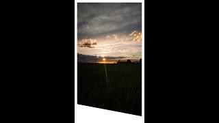 Barley field sunset timelapse