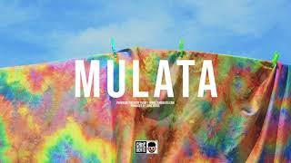 Mulata  Instrumental Reggaeton Dancehall  J Balvin Type Beat 2021