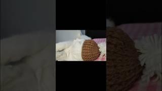 crochet cat hat free patern on my channel #crochetpattern #crochet #shortvideo #shorts