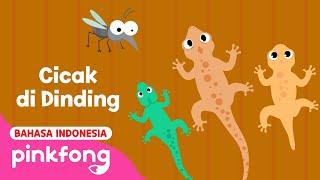 Lagu Cicak-cicak di dinding 1 Jam  Lagu Anak  Pinkfong Indonesia