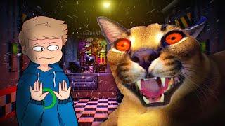 FNAF aber mit KATZEN