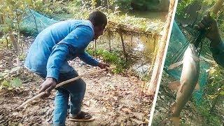 Primitive Technology  Catch Big Fish Skill   Natural Fishing BD