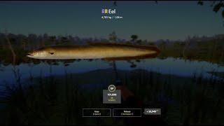 EEL FISHING AT OLD BURG LAKE NEW EEL SPOT