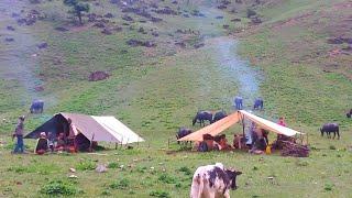 Most Peaceful Relaxing Himalayan Village Lifestyle  Organic shepherd Food  Real Nepali Life 