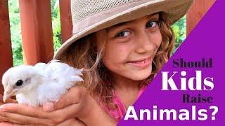 Teaching Children Life Lessos with CHICKENS  SHOULD KIDS RAISE ANIMALS?