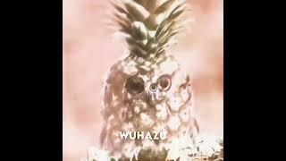 PINEAPPLE OWL EDIT