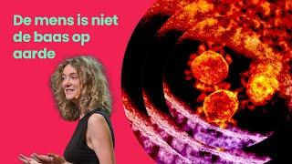 De MENS is NIET de BAAS op aarde  JULIA RIJSSENBEEK Brainwash Talks