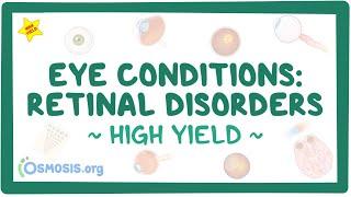 Eye conditions - Retinal disorders Pathology review