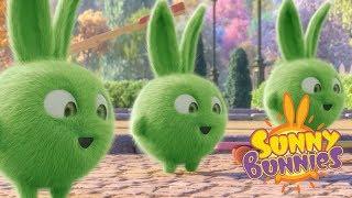 Videos For Kids  TRIPLE TROUBLE - SUNNY BUNNIES  Cute Cartoons  Funny Videos For Kids