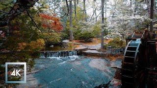 Walking in Thunderstorm Binaural Rain and Nature Sounds for Sleep and Study  ASMR